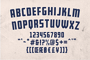 Bearbone Sans (8 Fonts Total!), a Sans Serif Font by Martype (Thumbnail 6 of 10)