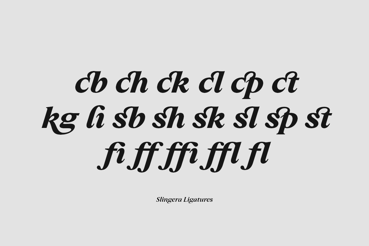 Slingera - Display Serif, a Serif Font by Attract Studio (Photo 15 of 17)
