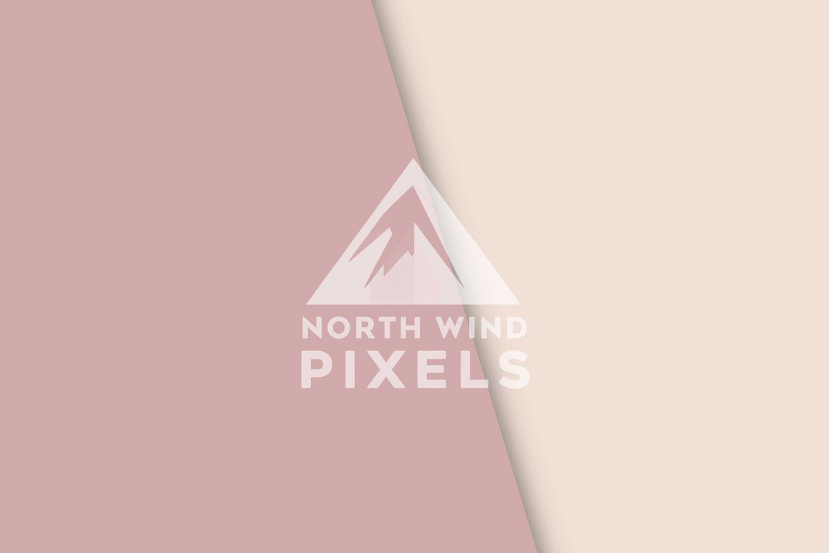 12 Modern Feminine Digital Papers, a Background Graphic by NorthWindPixels (Photo 4 of 4)