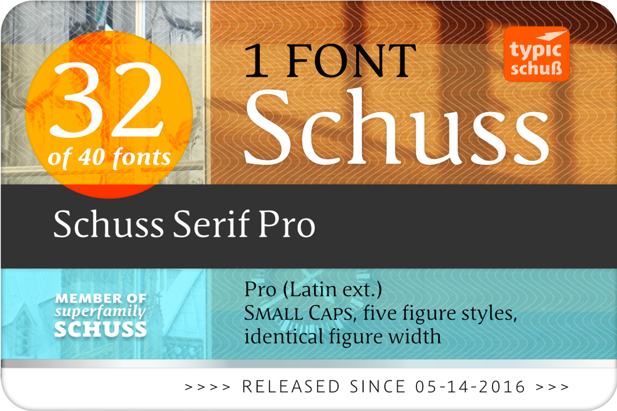 SchussSerifPro No.32 (1 Font) preview 3