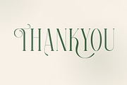 Georgiano Modern Serif Font, a Serif Font by Storytype Studio (Thumbnail 15 of 15)
