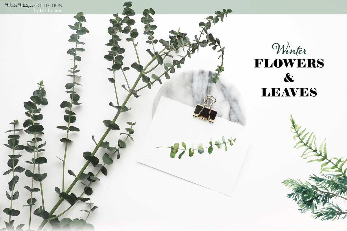 Winter Whisper Watercolor Collection, a Decorative Illustration by Les Frolova (Photo 7 of 10)
