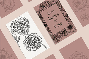 Peonies Line Art Collection