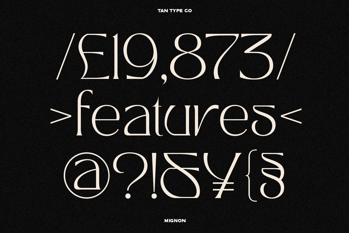 TAN - MIGNON, a Font by TanType (Photo 10 of 17)