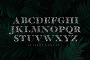 Flola Hand Drawn Font, a Font by freeject.net (Thumbnail 4 of 4)