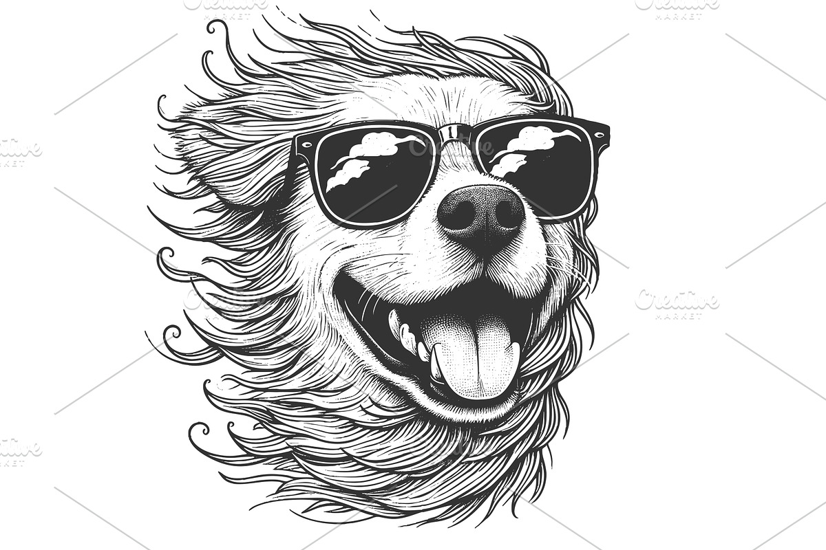 Cool Dog Wearing Sunglasses vector, an Animal Illustration by AlexArt