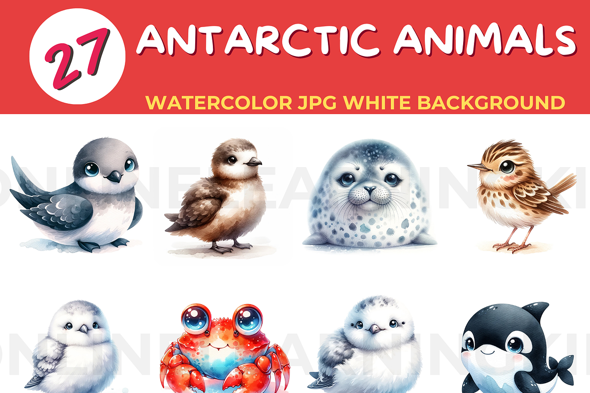 ANTARCTIC ANIMALS watercolor JPG whi, an Animal Illustration by John_Walker (Photo 1 of 3)
