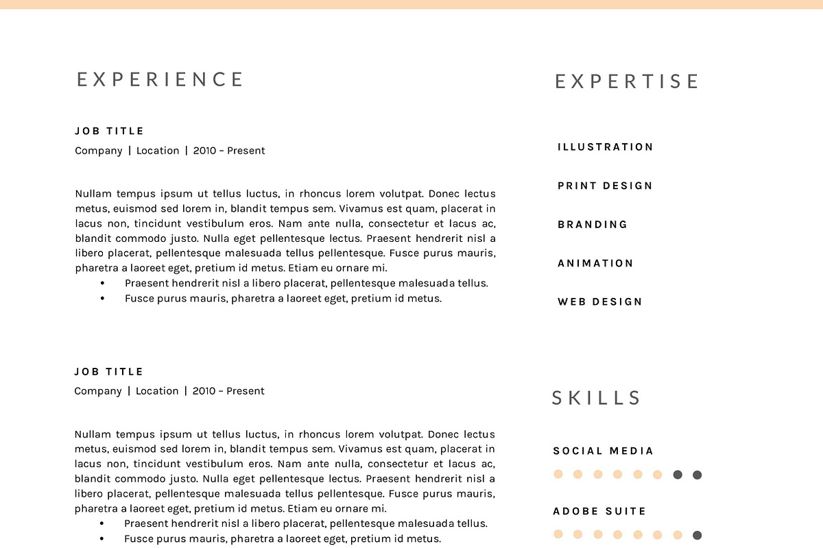 3 Page Resume Template | INDD + DOCX, a Resume Template by BlackDotResumes (Photo 5 of 5)