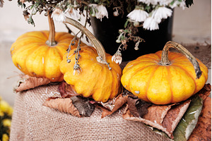 Decorative arrangement of three, a Food & Drink Photo by Rohan Photography