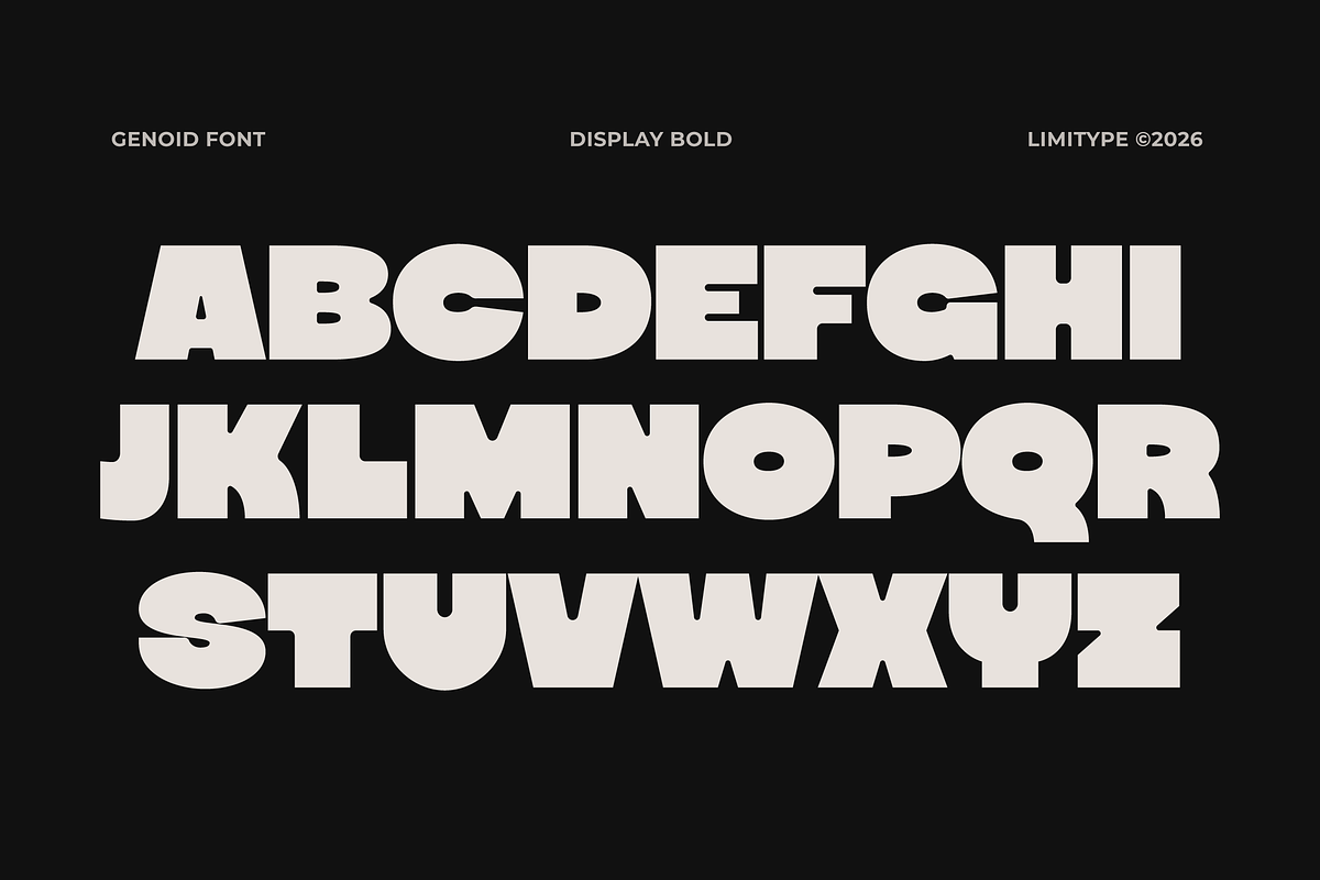 Genoid - Bold Display Font, a Sans Serif Font by limitype (Photo 9 of 12)