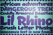 Lil Rhino, a Script Font by Pink Broccoli (Thumbnail 1 of 3)