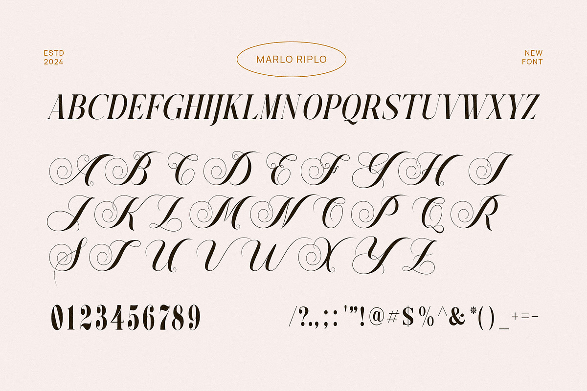 Marlo Pirlo Elegant & Premium Serif, a Serif Font by Graphicxell (Photo 6 of 6)