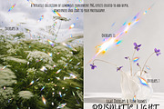 Prism Light Overlays & Film Frames, a Texture Graphic by DreamoraArt (Thumbnail 5 of 13)