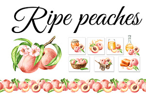 Ripe Peaches. Watercolor set, a Food Illustration by Daria Ustiugova