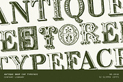 Decorative Vintage Drop Cap Font, a Serif Font by Century Library (Thumbnail 1 of 5)
