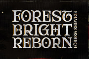 Rocky Aston, a Serif Font by Fontastic (Thumbnail 4 of 9)