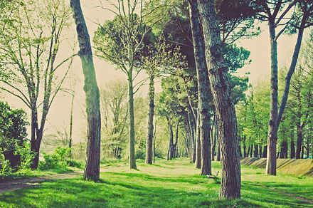 Iseeyouphoto Dreamybeachscape Containing Nature Landscape And Beach preview 6