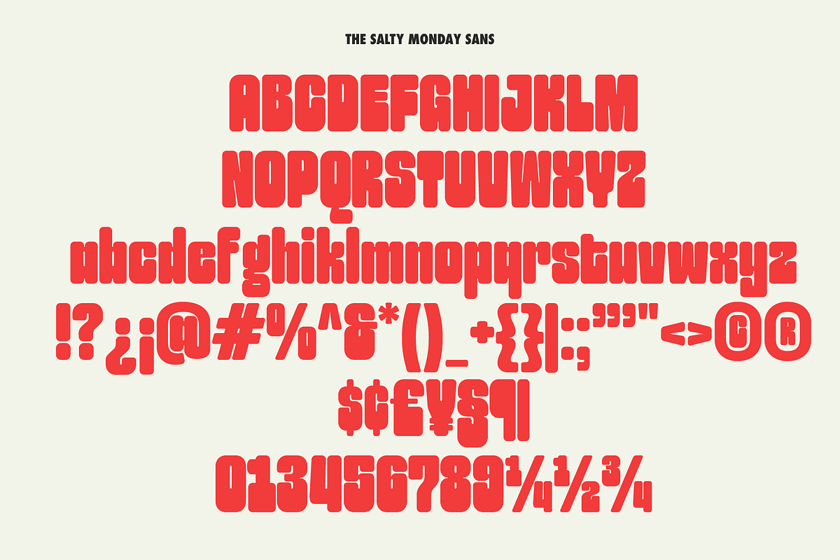 The Salty Monday | Font Duo, a Sans Serif Font by Jolicia Type (Photo 11 of 13)