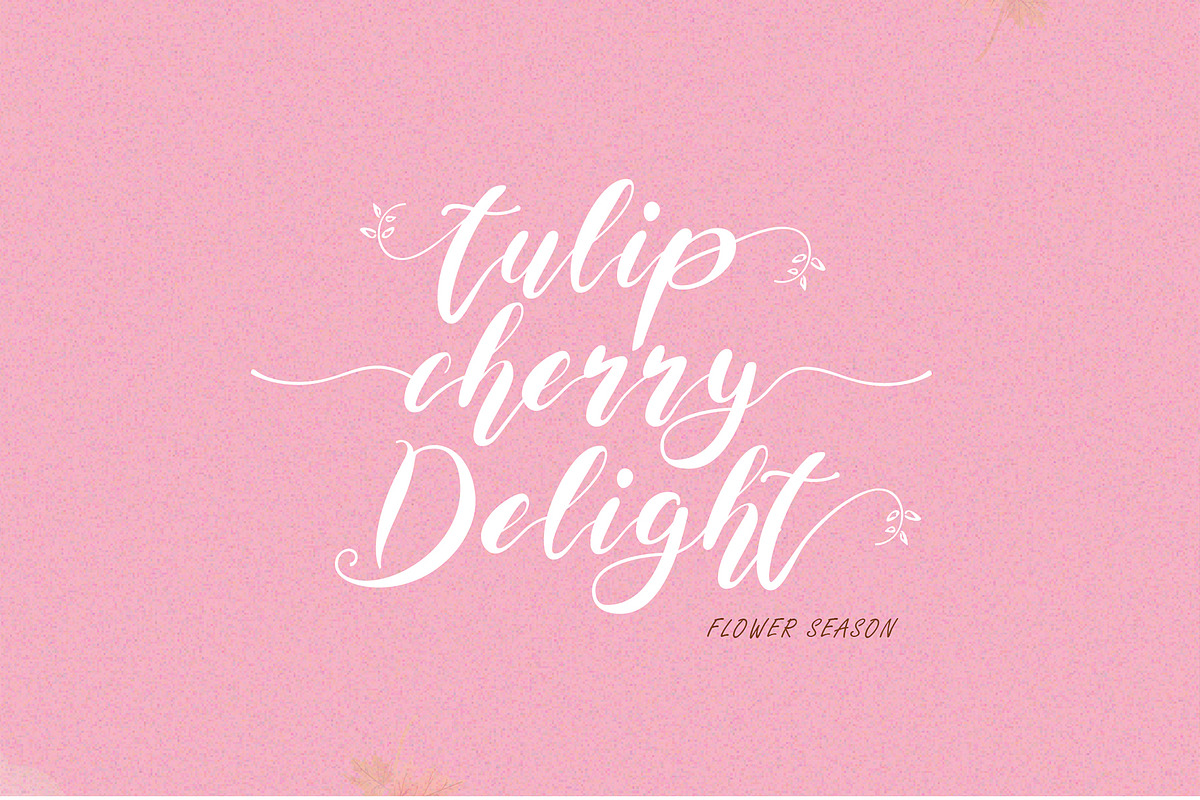 Maida Valley - Handwritten Font, a Script Font by erlosDESIGN (Photo 5 of 14)