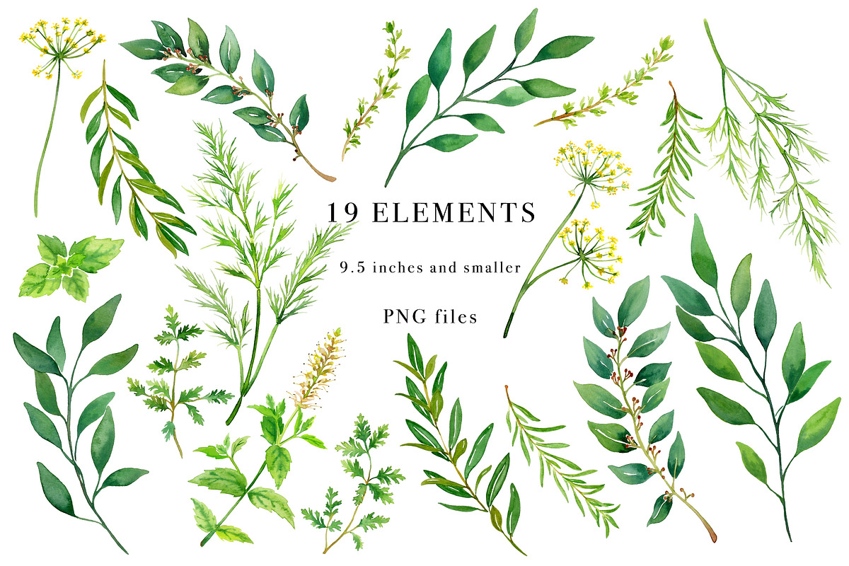 Sale- Herbal Greens Design Set, an Illustration by Art by Lin (Photo 2 of 8)