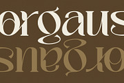 Palmer Sorjan - A Modern Serif, a Serif Font by Koplexs Studio (Thumbnail 8 of 11)