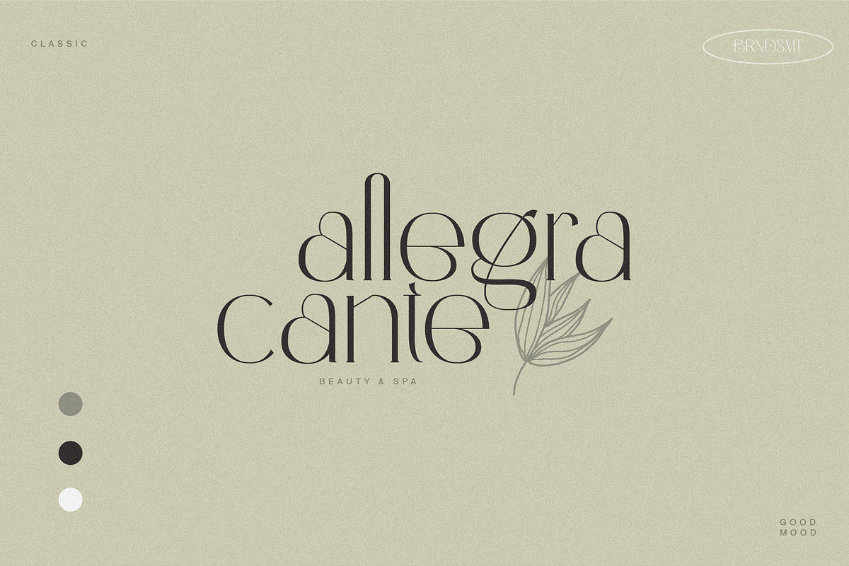 Cerlions - Classic Elegant Display, a Serif Font by BrandSemut (Photo 2 of 11)