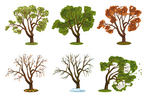 Variety of vector oak trees. Set of, an Object Illustration by Elegant Solution