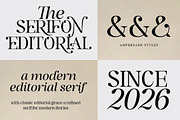 The Serifon Editorial, a Serif Font by Black Studio (Thumbnail 12 of 17)
