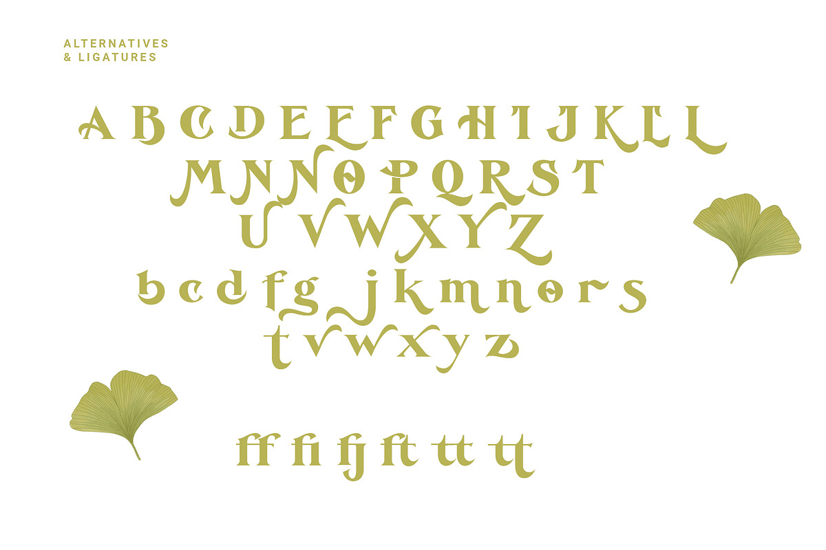 De Ginkgo, a Serif Font by Emyself Design (Photo 12 of 16)
