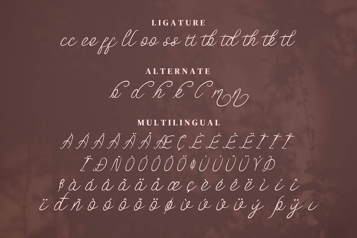 Fothem Script Fonts, a Script Font by mahstudios (Photo 12 of 14)