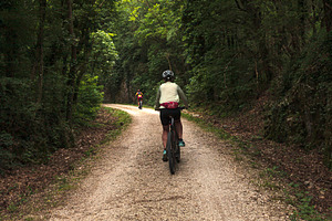 Cyclist on forest path, a Sports & Recreation Photo by Bepslabor