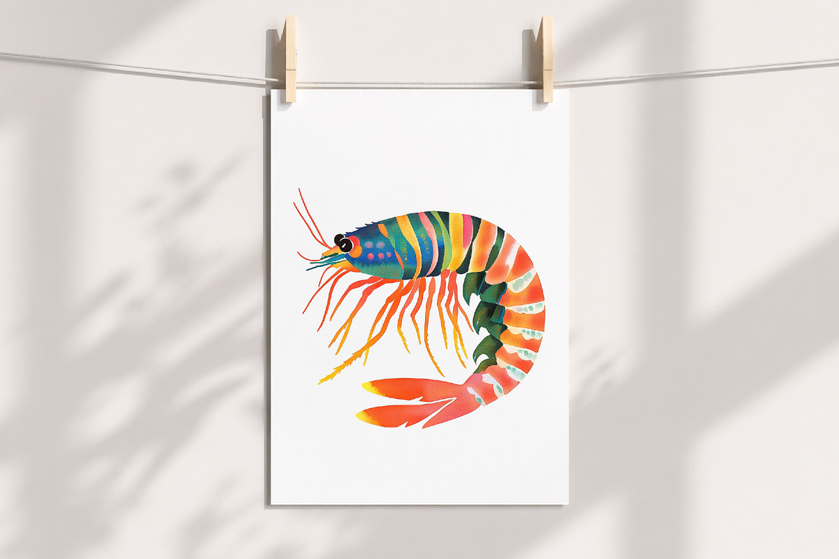 Watercolor Shrimp Clipart Set, an Illustration by Libby Wishes (Photo 3 of 8)