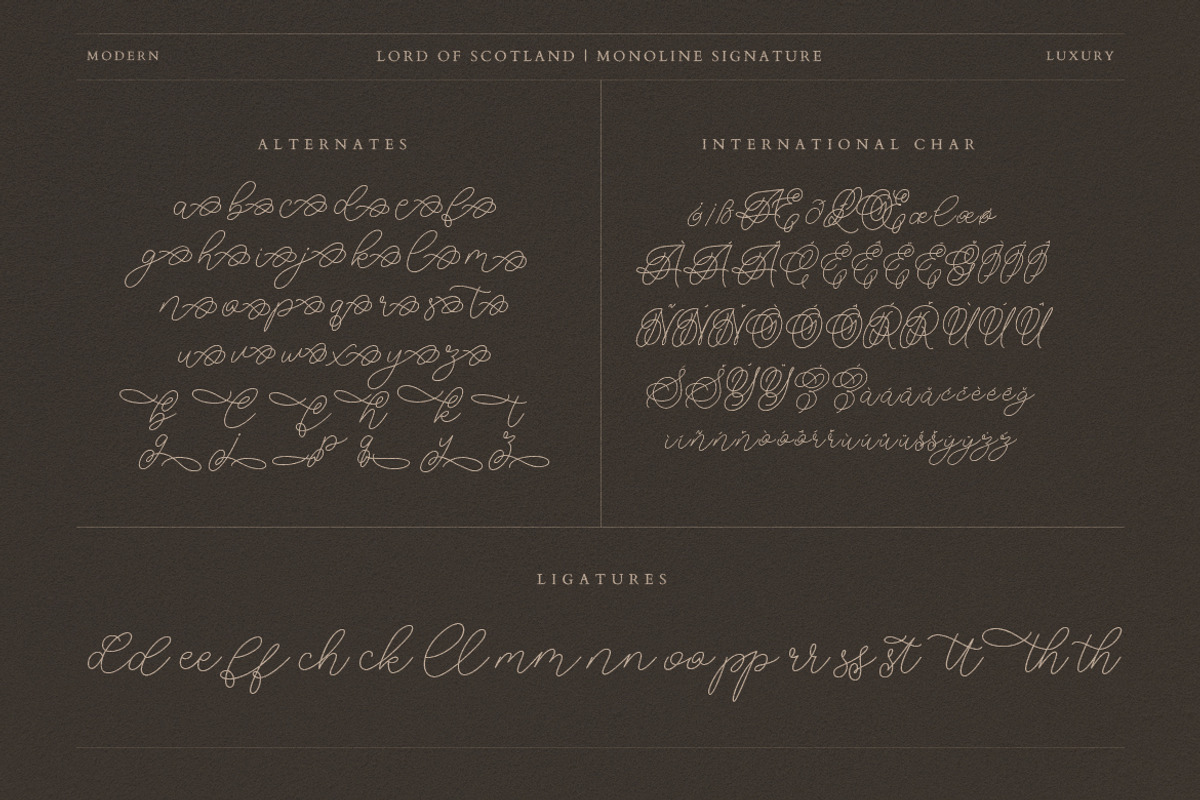 Lord of Scotland Monoline Signature, a Script Font by Creatype Studio (Photo 8 of 9)