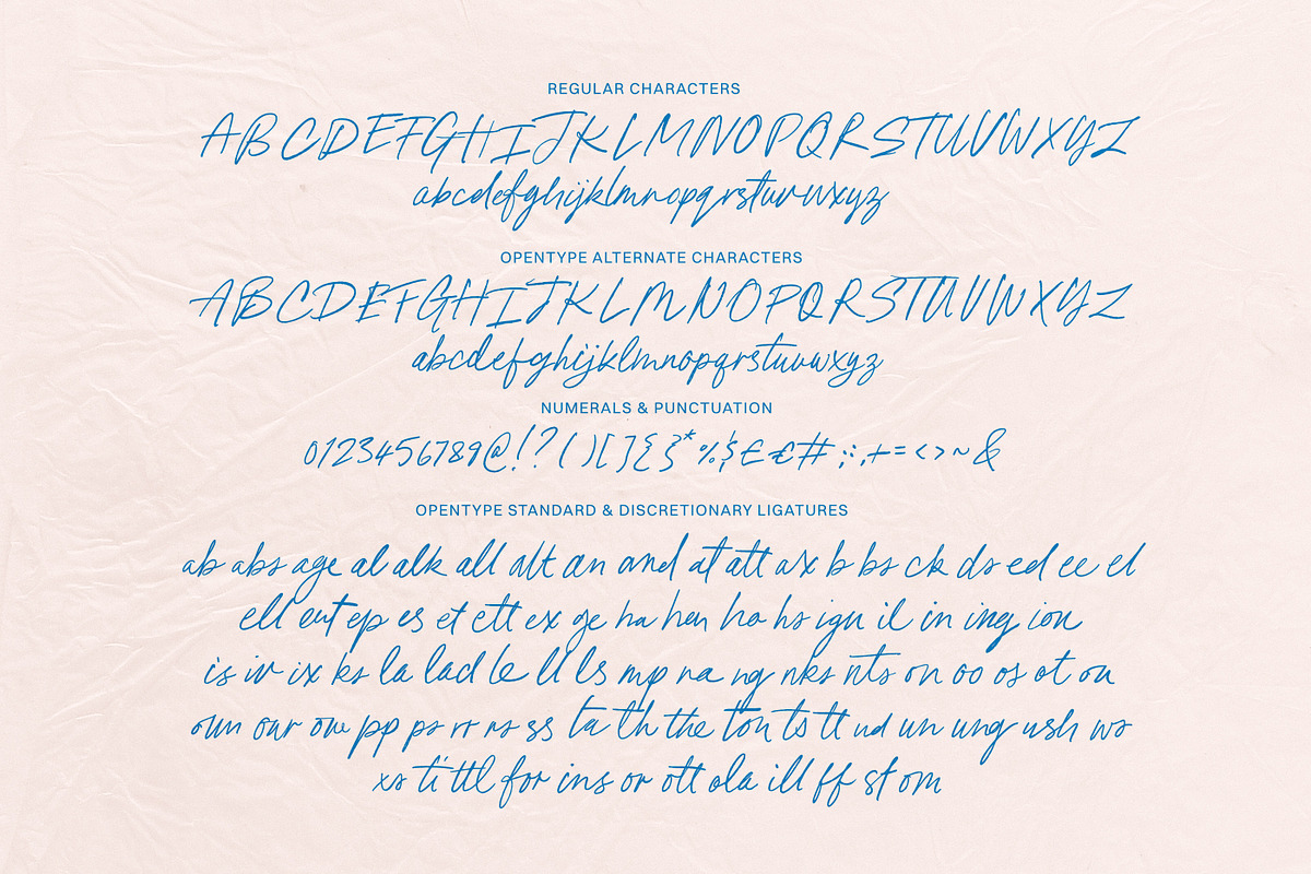 Pink Champagne Script, a Handwritten Font by Nicky Laatz (Photo 21 of 21)
