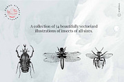 Vintage Bundle - 6600+ Illustrations, an Object Graphic by Nomad Visuals (Thumbnail 24 of 46)