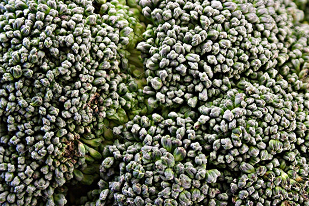 Broccoli preview 2