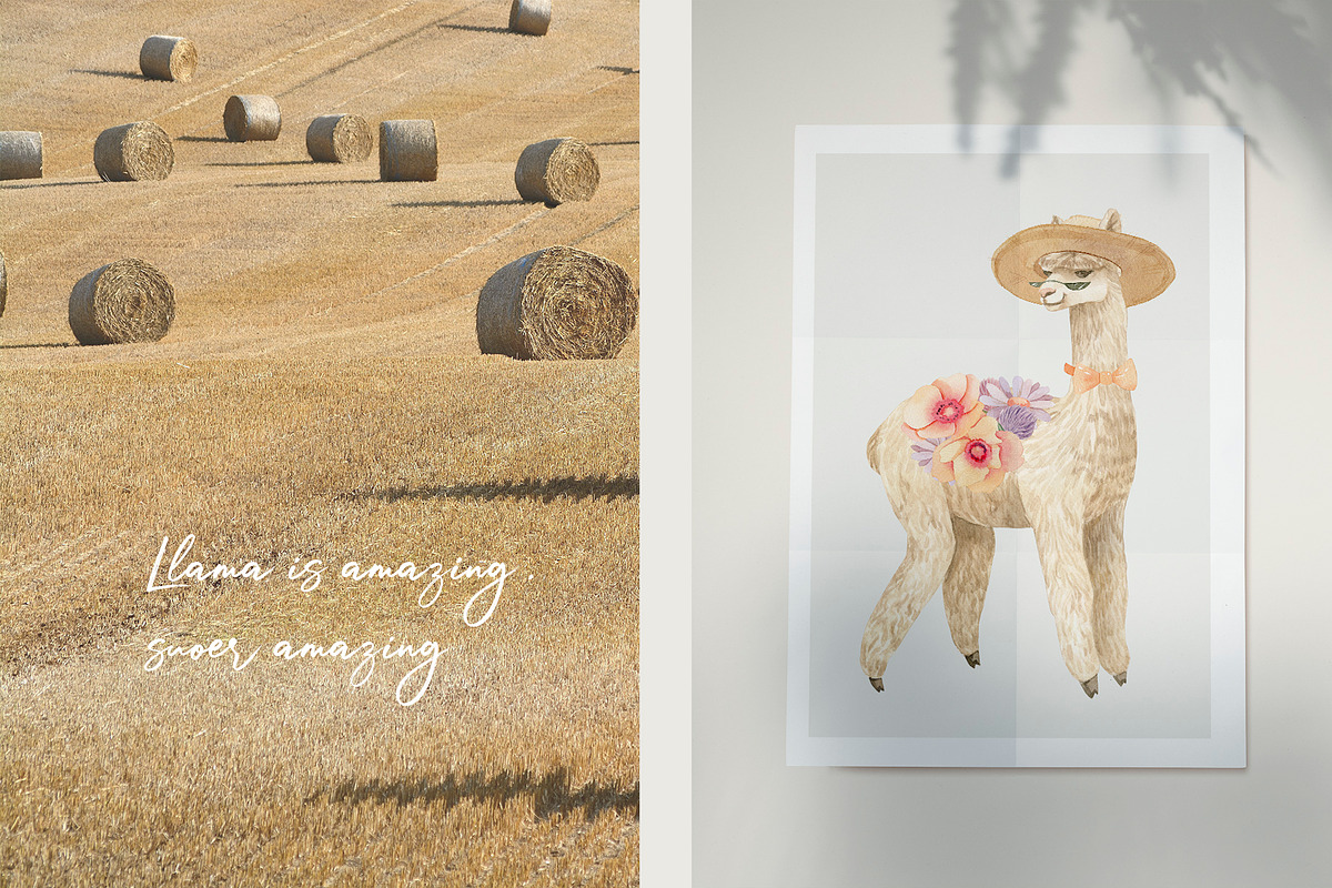 Llama Farm Watercolor Clipart, an Animal Illustration by Julia M. Watercolor (Photo 11 of 14)