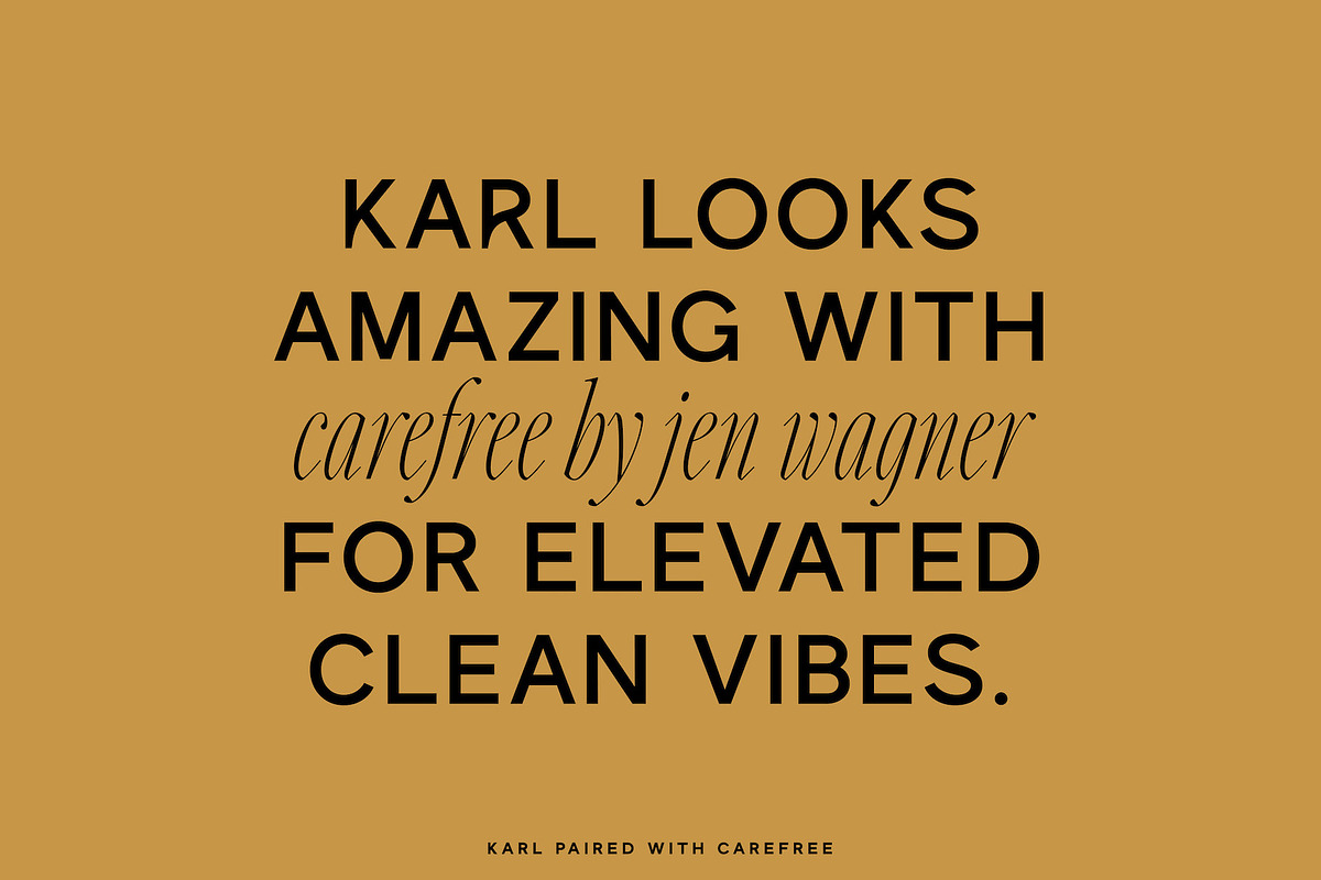 Karl – Cool Sans w Unique Alternates, a Sans Serif Font by Local Desk Designstudio (Photo 7 of 28)