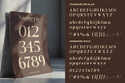 Rabiola Ganesh - Modern Serif, a Serif Font by Black Junst (Thumbnail 8 of 10)