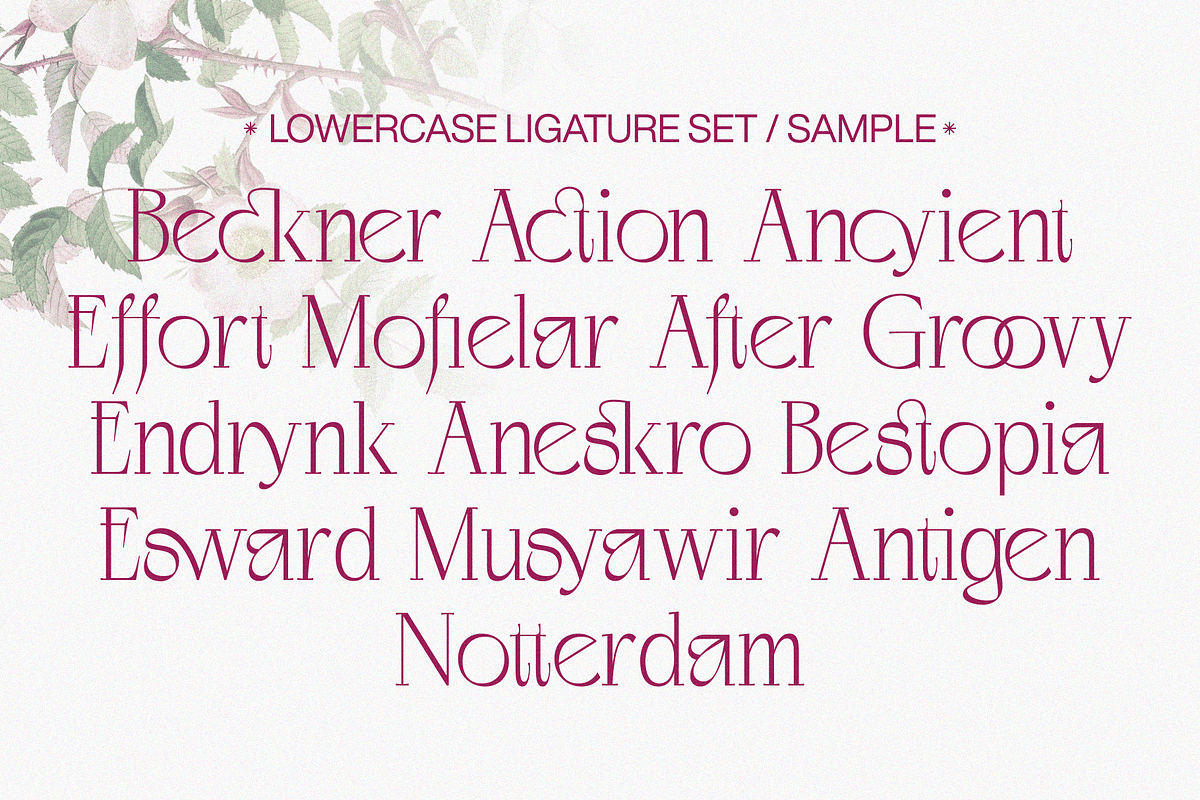 Negkomis — Elegant Ligature Serif, a Serif Font by Enxyclo Studio (Photo 24 of 26)