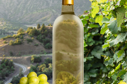 Bottle of white wine with grapes, a Food & Drink Photo by Pandateam