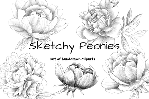 Sketchy Peonies Set