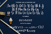 Skylife, a Script Font by FreshTypeINK (Thumbnail 3 of 8)