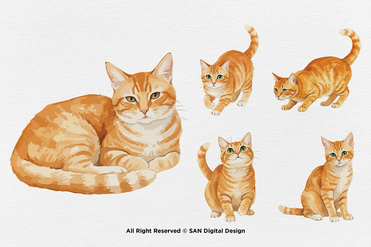 15 Bundle Watercolor Orange Cats Pet, an Animal Illustration by Morspective (Photo 7 of 8)
