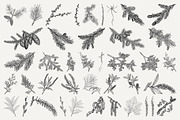 Vintage Leaf & Branch Illustrations, a Decorative Illustration by Century Library (Thumbnail 4 of 9)