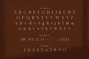 Ridrom Elegant Serif Font, a Serif Font by Graphicxell (Thumbnail 7 of 8)