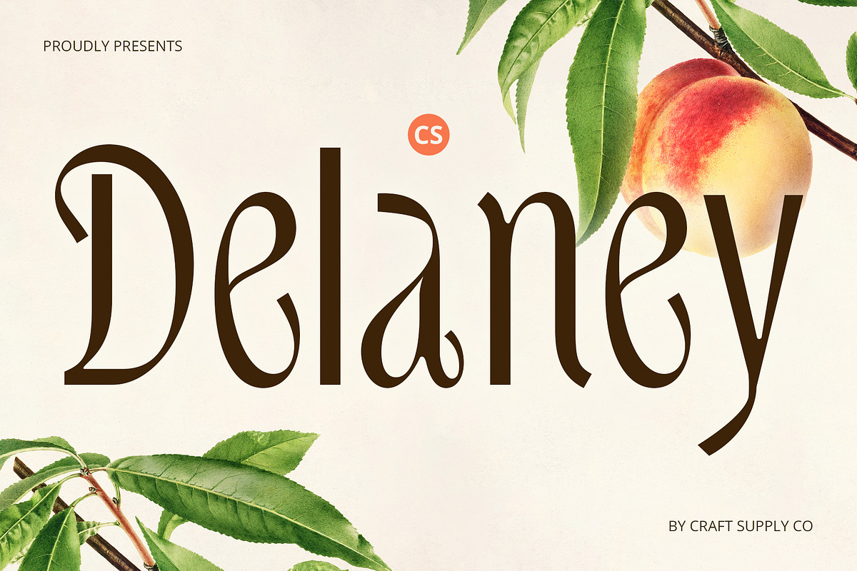 CS Delaney – Modern Font, a Sans Serif Font by Craft Supply Co. (Photo 1 of 8)