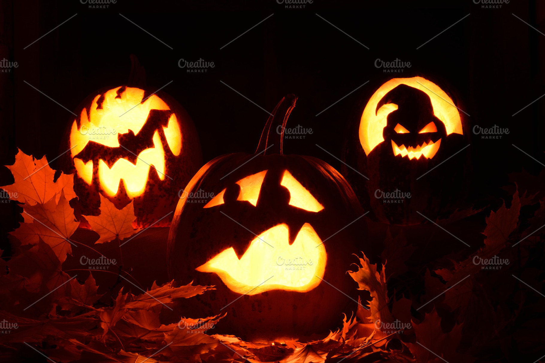 Pumpkin halloween containing autumn, background, and black, a Holiday Photo by RichmanStudio