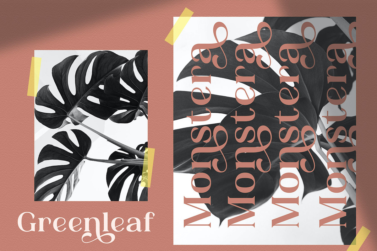 Adibafih - Casual Serif Font, a Serif Font by StringLabs (Photo 8 of 11)