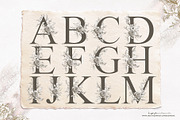 Floral Vintage Alphabet | Monograms, an Illustration by Tinydew (Thumbnail 4 of 7)